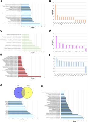 Metabolic Imbalance Effect on Retinal Müller Glial Cells Reprogramming Capacity: Involvement of Histone Deacetylase SIRT6